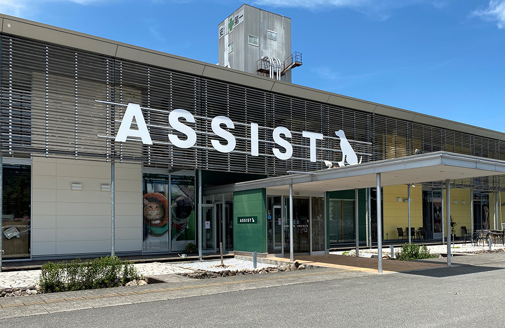 アシスト